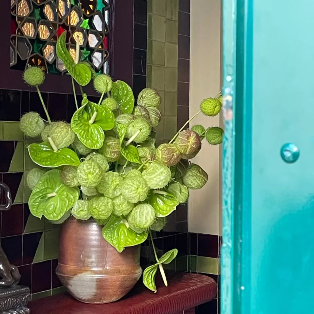 Fleuriste d’art Ko hana Paris